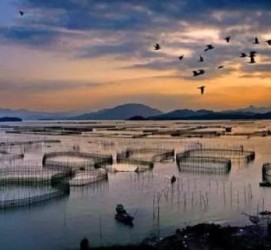 如皋伴游中国网景点丰富(旅游网介绍)
