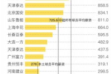 如皋关于伴游小丽中国足球的信息