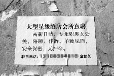 如皋珠海伴游雇用网(珠海游览社雇用信息)