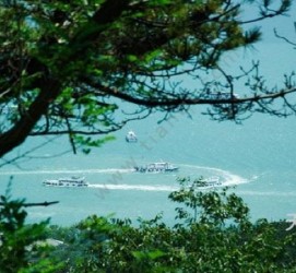 如皋中国伴游网与你分享旅游的点滴(中国伴游网与你分享旅游的点滴是什么)