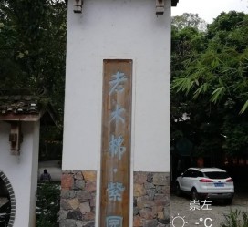 如皋关于伴游中国伴游你们伴得是什么游的信息