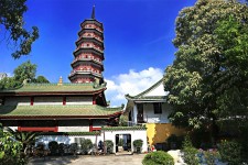 如皋广州自由行(广州 自由行)