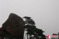 如皋上海伴游私家陪游雇用女模(上海伴游私家陪游雇用女模特)