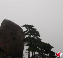 如皋上海伴游私家陪游雇用女模(上海伴游私家陪游雇用女模特)