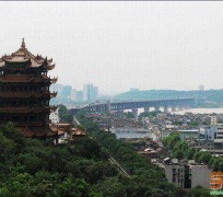 如皋武汉游玩攻略(武汉游玩攻略ppt)