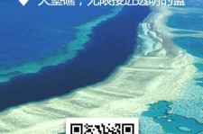 如皋中国250家旅行社结伴游新西兰(新西兰当地旅行社)