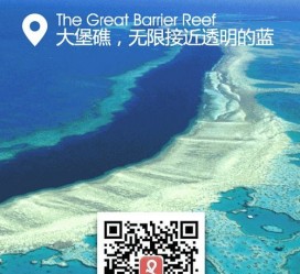 如皋中国250家旅行社结伴游新西兰(新西兰当地旅行社)