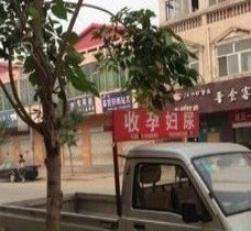 如皋上海伴游 用伴游造句大全(5