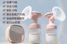 如皋奶模(奶模型)