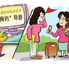 如皋伴游是什么