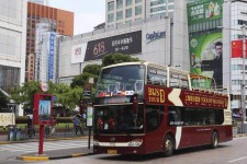 如皋上海私人伴游 上海过年怎么玩？这些“微游”线路了解下→