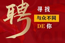 如皋商务伴游招聘 重庆星级酒店诚招司机服务员夜场保安
