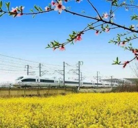 如皋高铁游(高铁游戏下载手机版)
