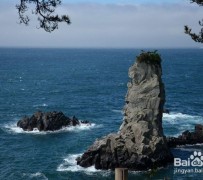 如皋旅游全攻略(上海旅游全攻略)