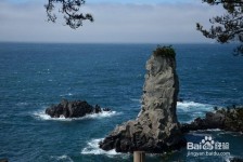 如皋旅游全攻略(上海旅游全攻略)