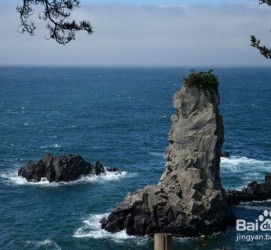 如皋旅游全攻略(上海旅游全攻略)