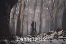 如皋上海私人伴游 上海伴游，上海兼职伴游安全吗
