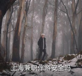 如皋上海私人伴游 上海伴游，上海兼职伴游安全吗