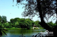 如皋西湖旅游攻略(上海到杭州西湖旅游攻略)