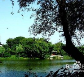 如皋西湖旅游攻略(上海到杭州西湖旅游攻略)