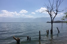如皋洱海旅游攻略(洱海旅游攻略自由行)