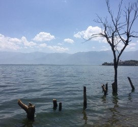 如皋洱海旅游攻略(洱海旅游攻略自由行)