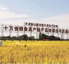 如皋关于成都商务伴游外围雇用的信息