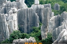如皋贵阳市游览社英语伴游雇用(贵阳市前十名游览社是哪几家)