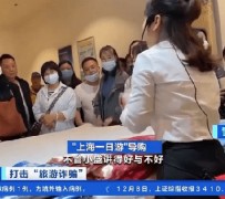 如皋上海私人伴游 看·法｜100元游上海？！“旅社”涉嫌诈骗被一窝端