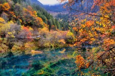 如皋四川旅游攻略(四川旅游攻略十五日游)