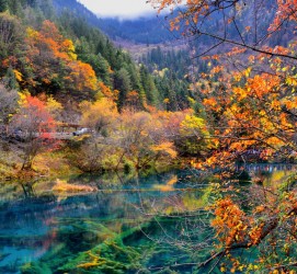 如皋四川旅游攻略(四川旅游攻略十五日游)
