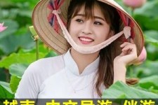 如皋日本关东伴游中国(日本关西旅行)