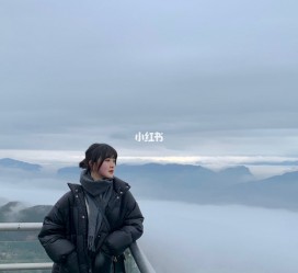 如皋四日游(朝鲜四日游)