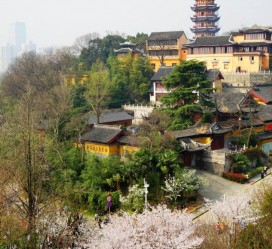 如皋南京周边游(南京周边游景点大全 自驾车旅游)