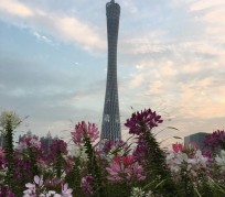 如皋广州旅游攻略(杭州到广州旅游攻略)