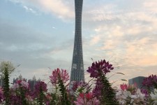 如皋广州旅游攻略(杭州到广州旅游攻略)