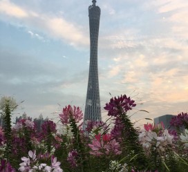 如皋广州旅游攻略(杭州到广州旅游攻略)