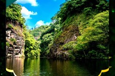 如皋旅游报价(旅行团旅游报价)