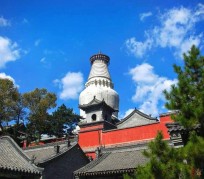 如皋游玩景点(游玩景点有哪些)