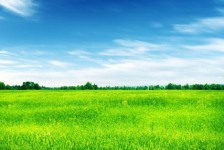 如皋上海伴游 上海模特伴游微信号的交友宣言