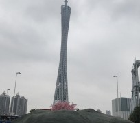 如皋广州游玩攻略(广州游玩攻略景点大全免费)