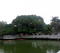 如皋福州旅游攻略(福州旅游攻略二日游)