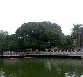 如皋福州旅游攻略(福州旅游攻略二日游)