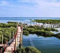 如皋旅游哪里好玩(云南旅游哪里好玩)