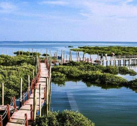 如皋旅游哪里好玩(云南旅游哪里好玩)