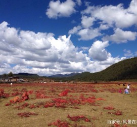 如皋旅游去处(暑期最好的旅游去处)