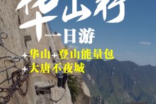 如皋一日游(一日游需要准备些什么东西?)