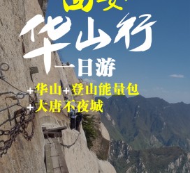 如皋一日游(一日游需要准备些什么东西?)