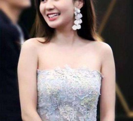 如皋cnbanycom伴游中国明星的简单介绍