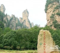 如皋自驾旅游攻略(自驾旅游攻略app排行榜)